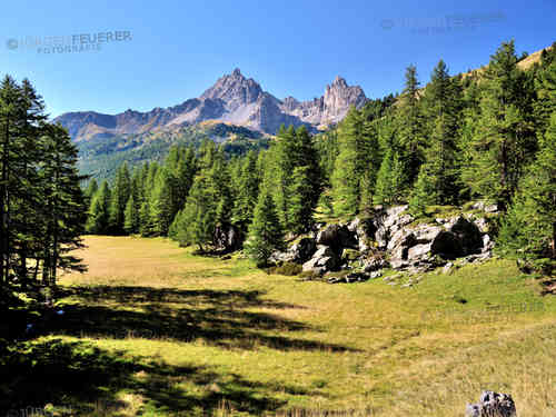 Picture Book Alps