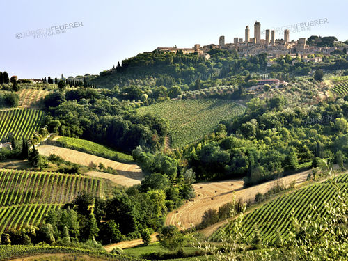 Hügellandschaft San Gimignano