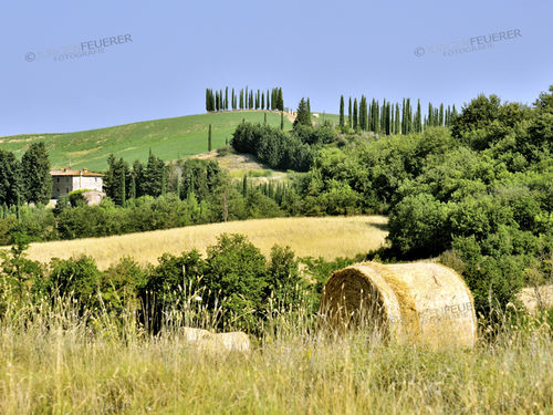 Rural landscape Tuscany