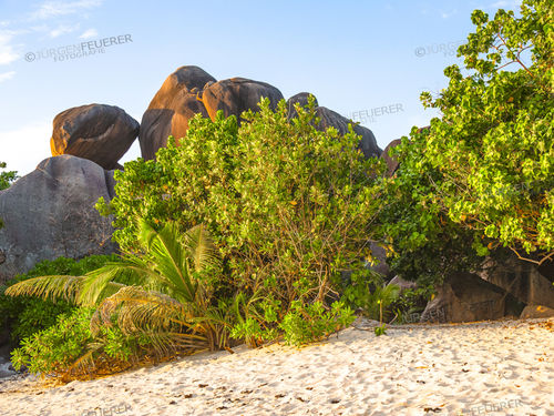 Seychelles Beach Scenery