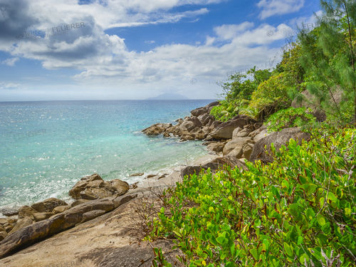 Coast of the Seychelles