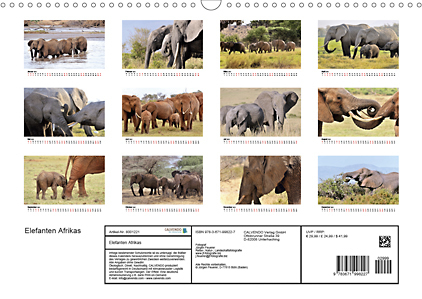Innenansichten Kalender Elefanten Afrikas 2021