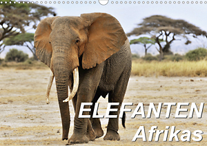 Kalender Elefanten Afrikas 2021